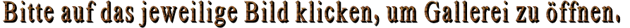 Bitte auf das jeweilige Bild klicken, um Gallerei zu öffnen.